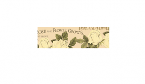Бумажный скотч ''Персиковые розы'', 15 мм, 8 м от ScrapBerry's