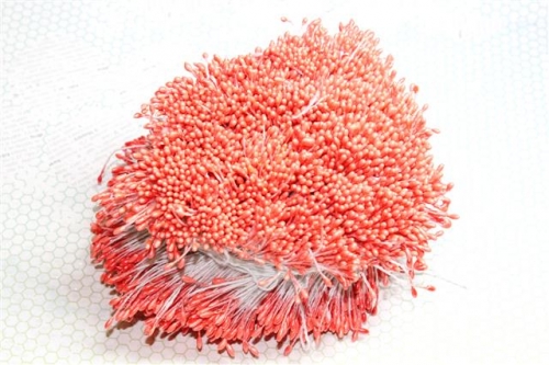 Тычинки двухсторонние кораллового цвета, 100 нитей