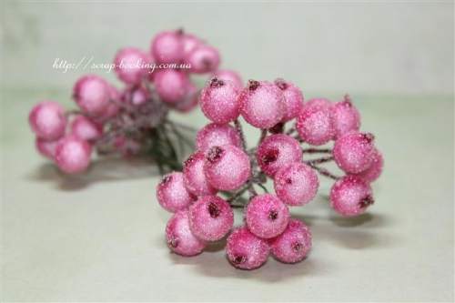 Ягодки калины в сахаре розового цвета, 38-40 ягодок