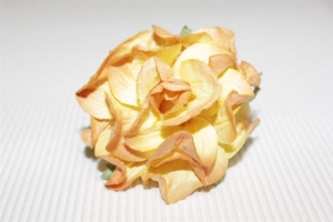 Розы оранжевого цвета, 55 мм, 1 шт