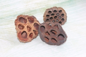 Коробочки лотоса натуральные, 4-5 см, 1 шт