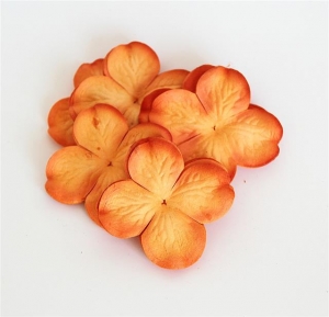 Гортензии оранжевого цвета, 5 см, 10 шт