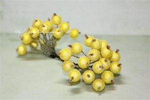Ягодки калины в сахаре желтого цвета, 38-40 ягодок