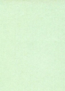 Дизайнерский картон перламутровый, светло-зеленый, 250 гр/м2, 20*30 см